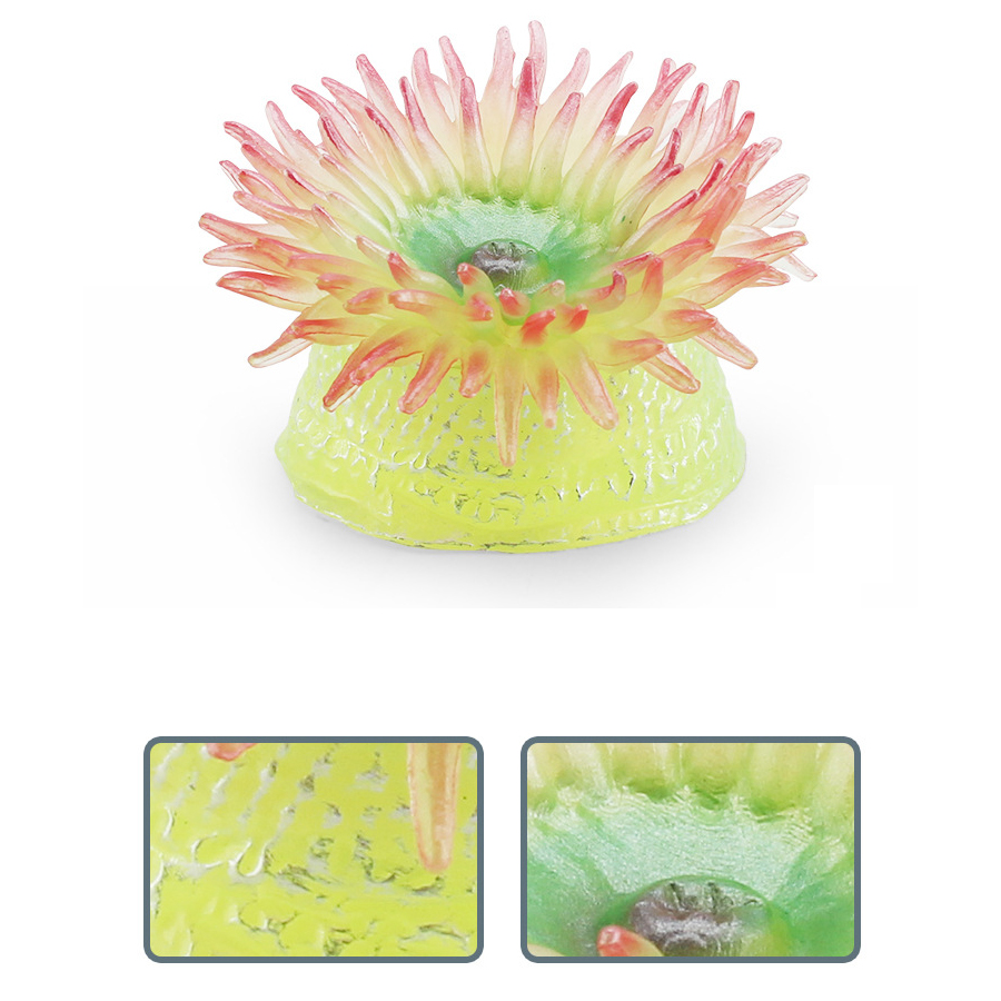 Realistic Coral Sea Anemones S - Kids Toys China review and price