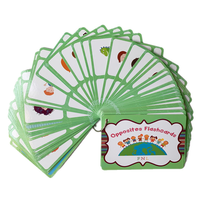 The 100 Groups Opposites Flash - Kids Toys China review and price
