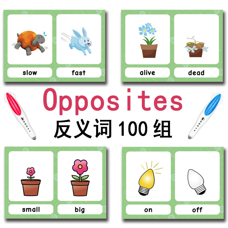The 100 Groups Opposites Flash - Kids Toys China review and price
