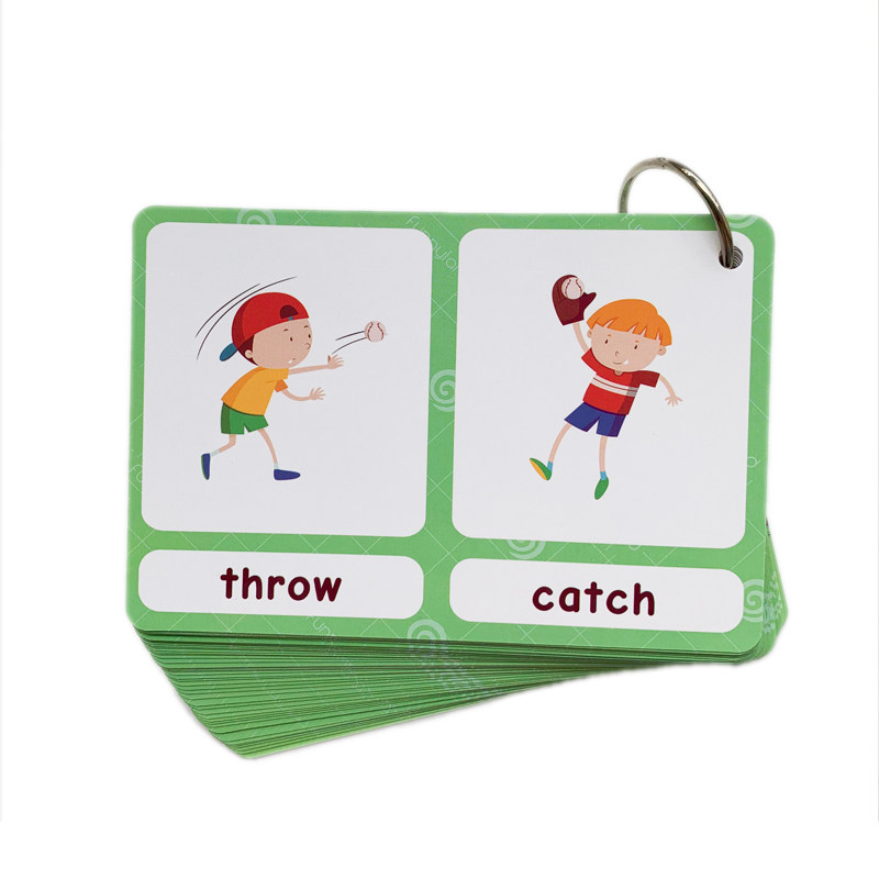The 100 Groups Opposites Flash - Kids Toys China review and price