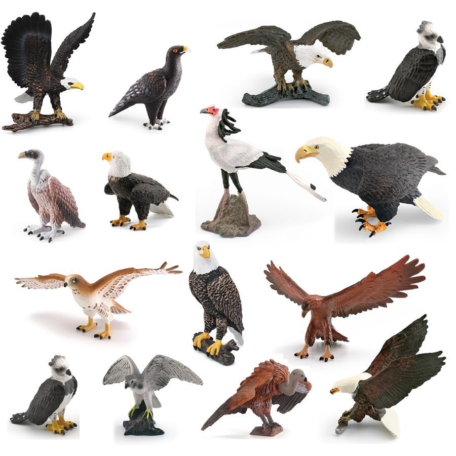 Realistic Wildlife Animal Bird - Kids Toys China review and price