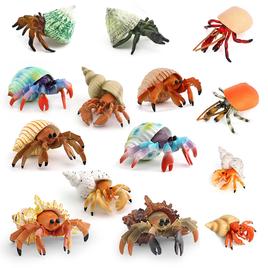 Realistic Hermit Crab Figurine - Kids Toys China review and price