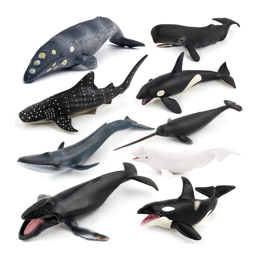Realistic Humpback Whale Sperm - Kids Toys China review and price