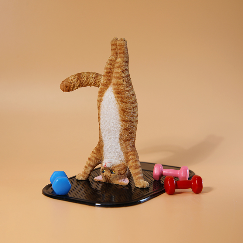 1/6 Scale Mini Simulated Fitne - Kids Yoga Toys review and price