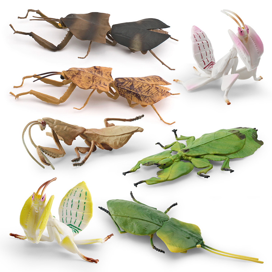 Realistic Orchid Mantis Dead L - Kids Toys China review and price